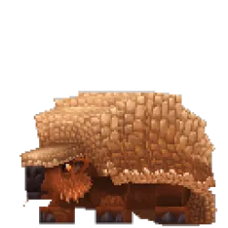 Armadillo