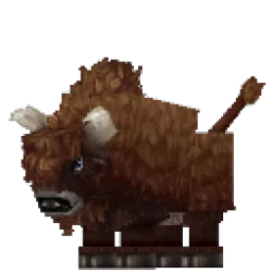 Bison