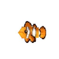 Clownfish 1