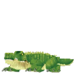 Crocodile